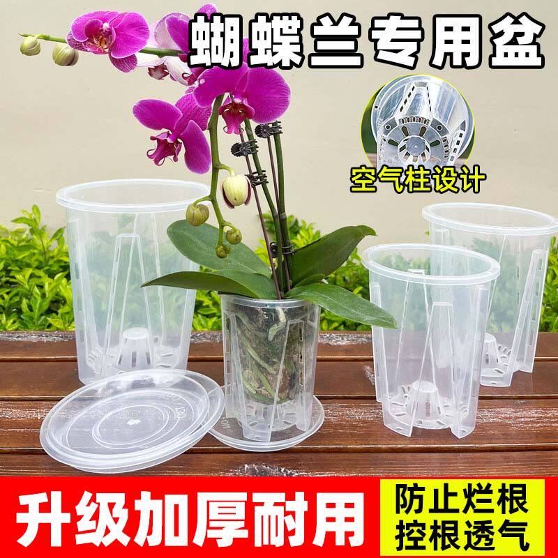 蝴蝶兰专用透明控根盆兰花花卉石斛水苔大号家用塑料透气镂空花盆