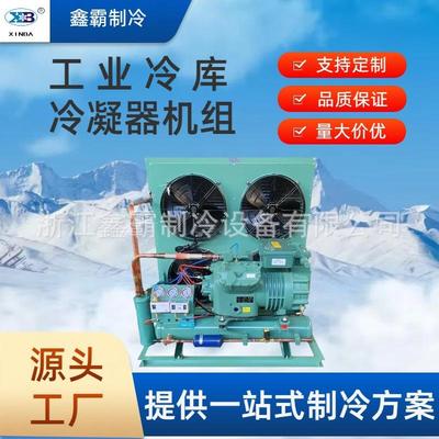 冷库全套设备北京比泽尔冷库制冷机组低温半封闭活塞式风冷机组