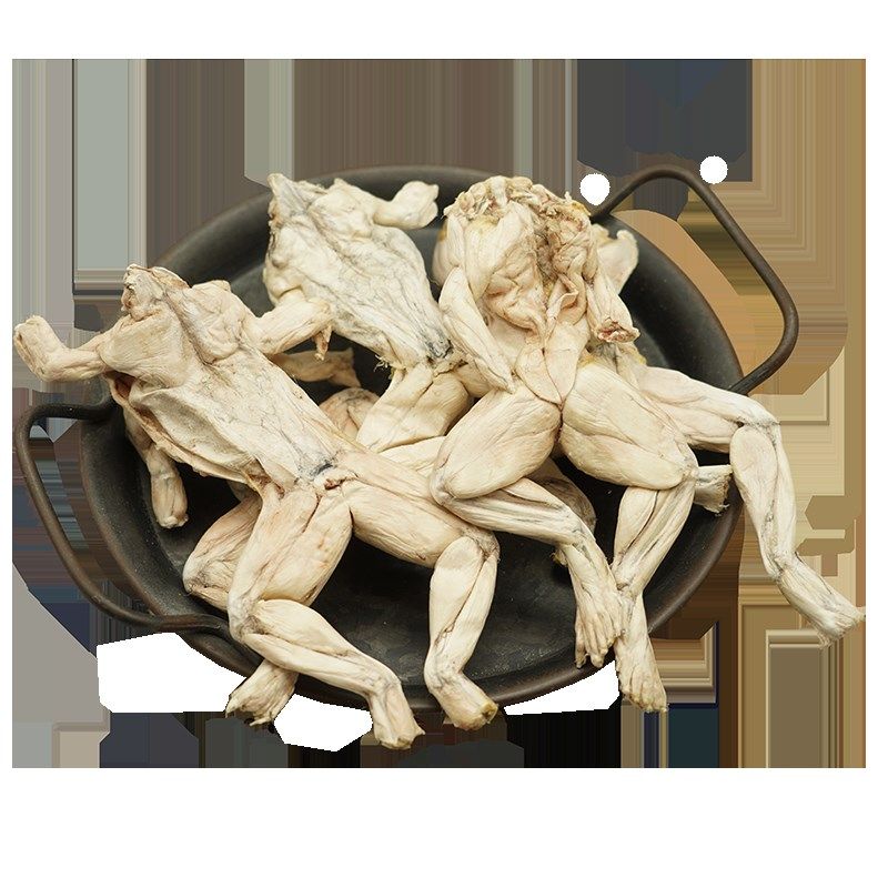 狗狗零食冻干大号牛蛙幼犬营养磨牙洁齿肉干拉布拉多拌X狗粮约15,宠物/宠物食品及用品,狗冻干零食,淘宝优惠券,粉丝福利购,淘宝优惠卷