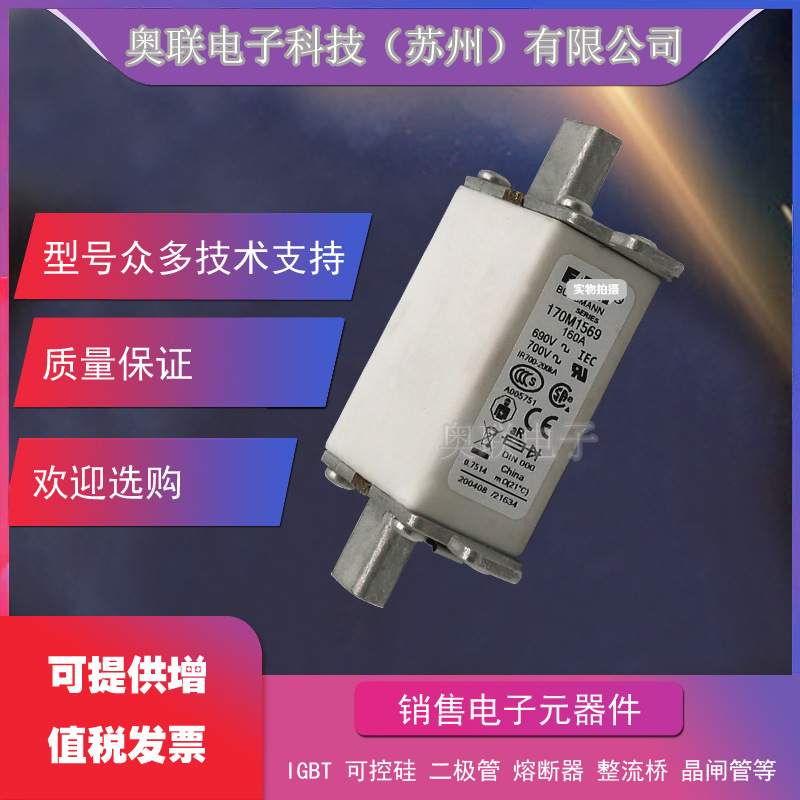 170M5458 170M5459 170M5460 170M5461 170M5462巴斯曼熔断器电容