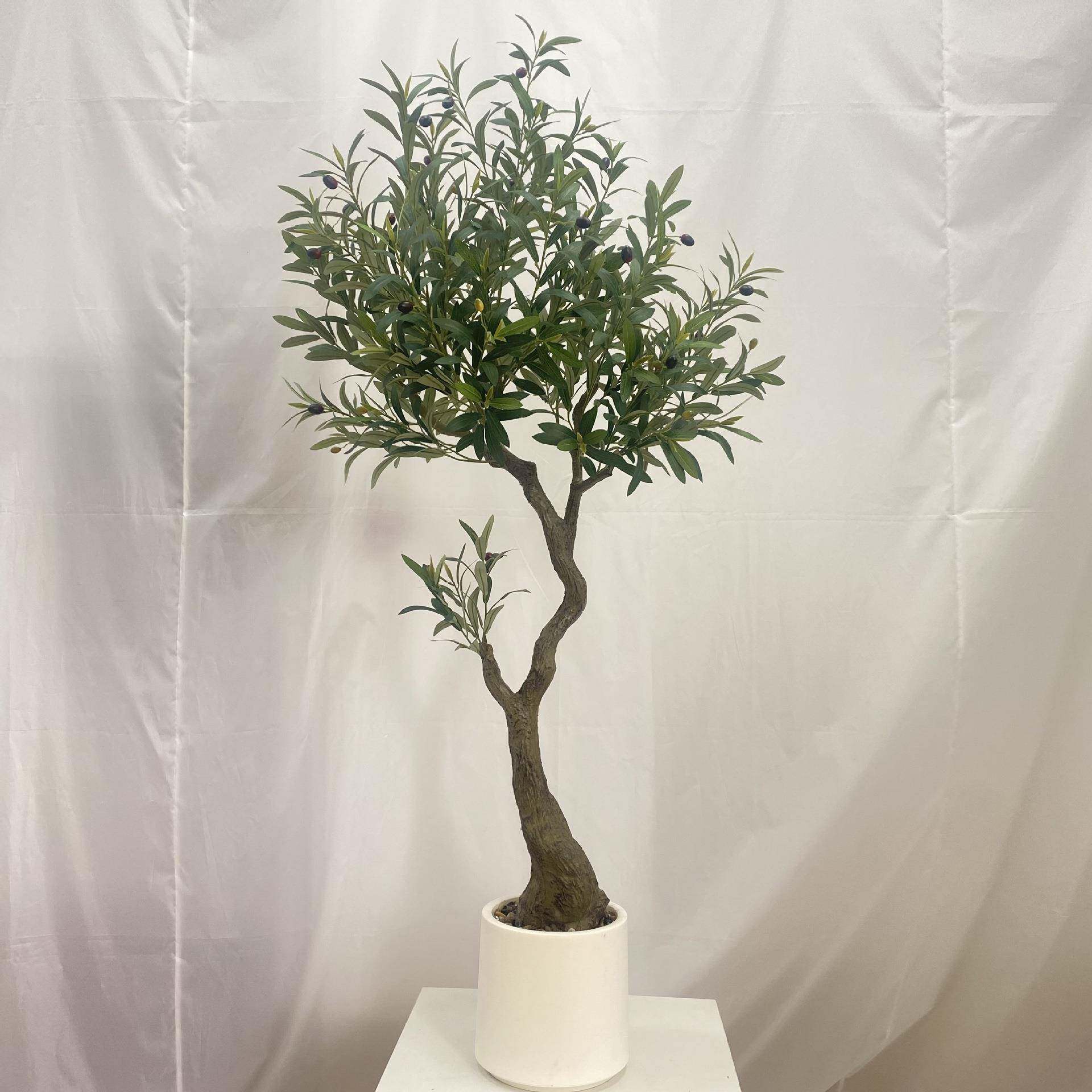 北欧室内装饰橄榄树绿植盆栽大型拆装带果橄榄树绿植盆栽