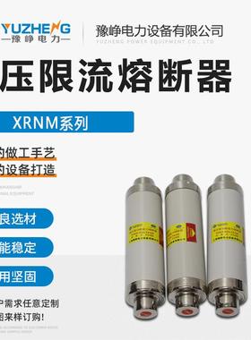 XRNM1WFNHO-7.2/12KV125A150A高压高分断能力熔断器插入式