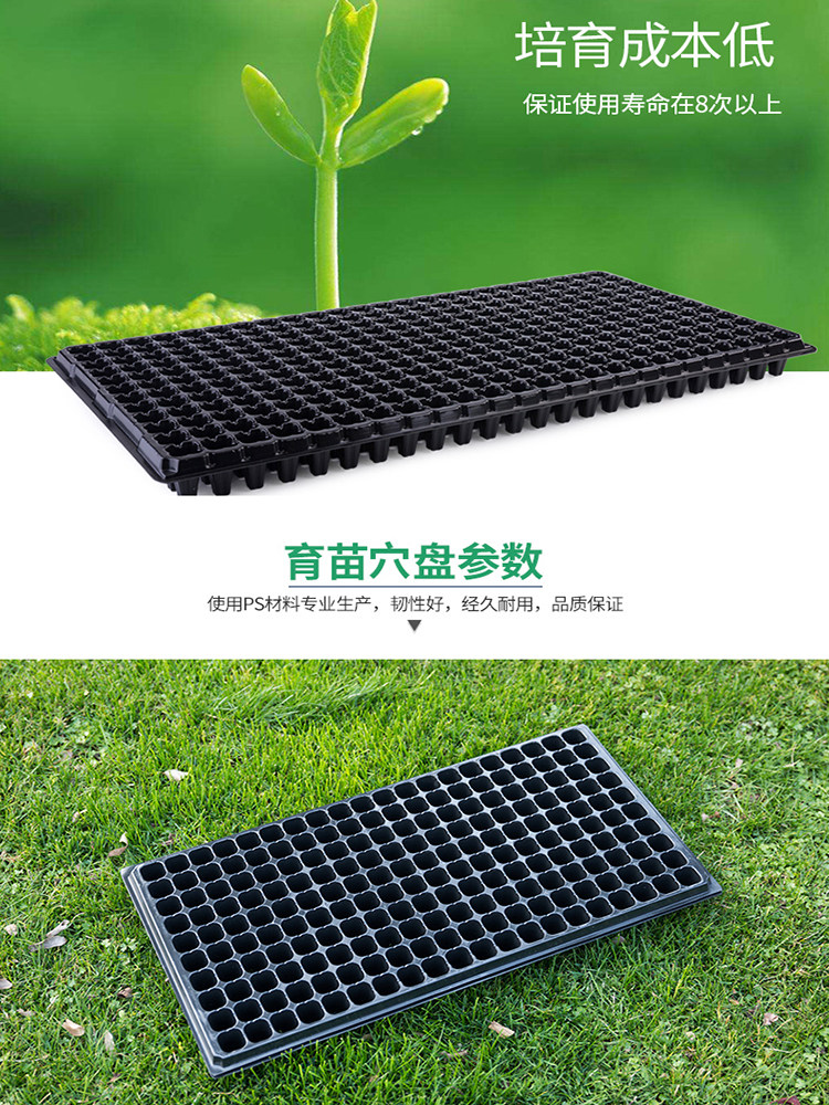 蔬菜育苗盒32孔50孔芽菜穴盘育苗盘水稻播种培养盆小麦草种植盘盆