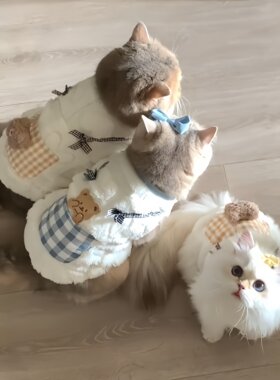 宠物猫咪衣服冬装狗狗保暖背心
