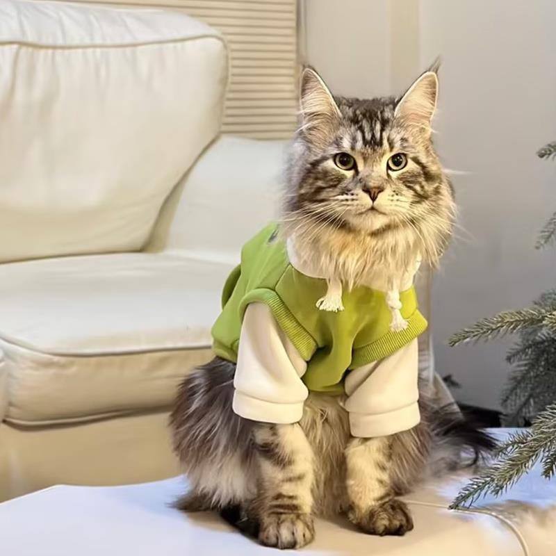 缅因猫咪衣服公猫帅气秋冬款卫衣图片