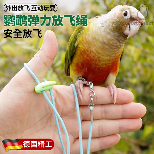 鹦鹉放飞绳虎皮牡丹专用不伤脚