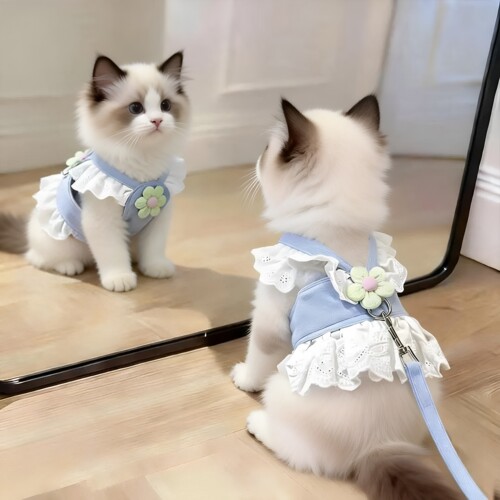 猫咪牵引绳防挣脱蕾丝胸背裙甜美