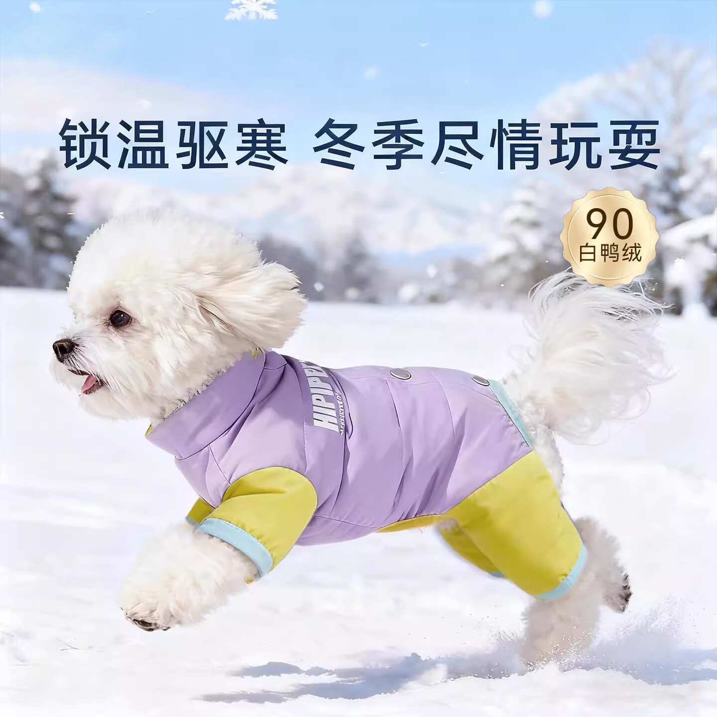 狗狗羽绒服比熊泰迪雪纳瑞小型犬宠物衣服2025新款冬装小狗羽绒服