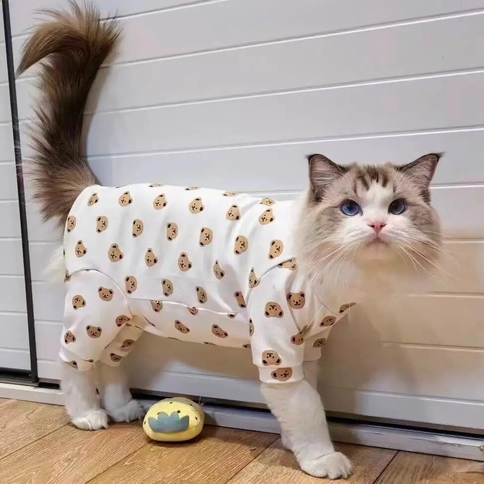 猫咪衣服春秋款小四脚卡通图片