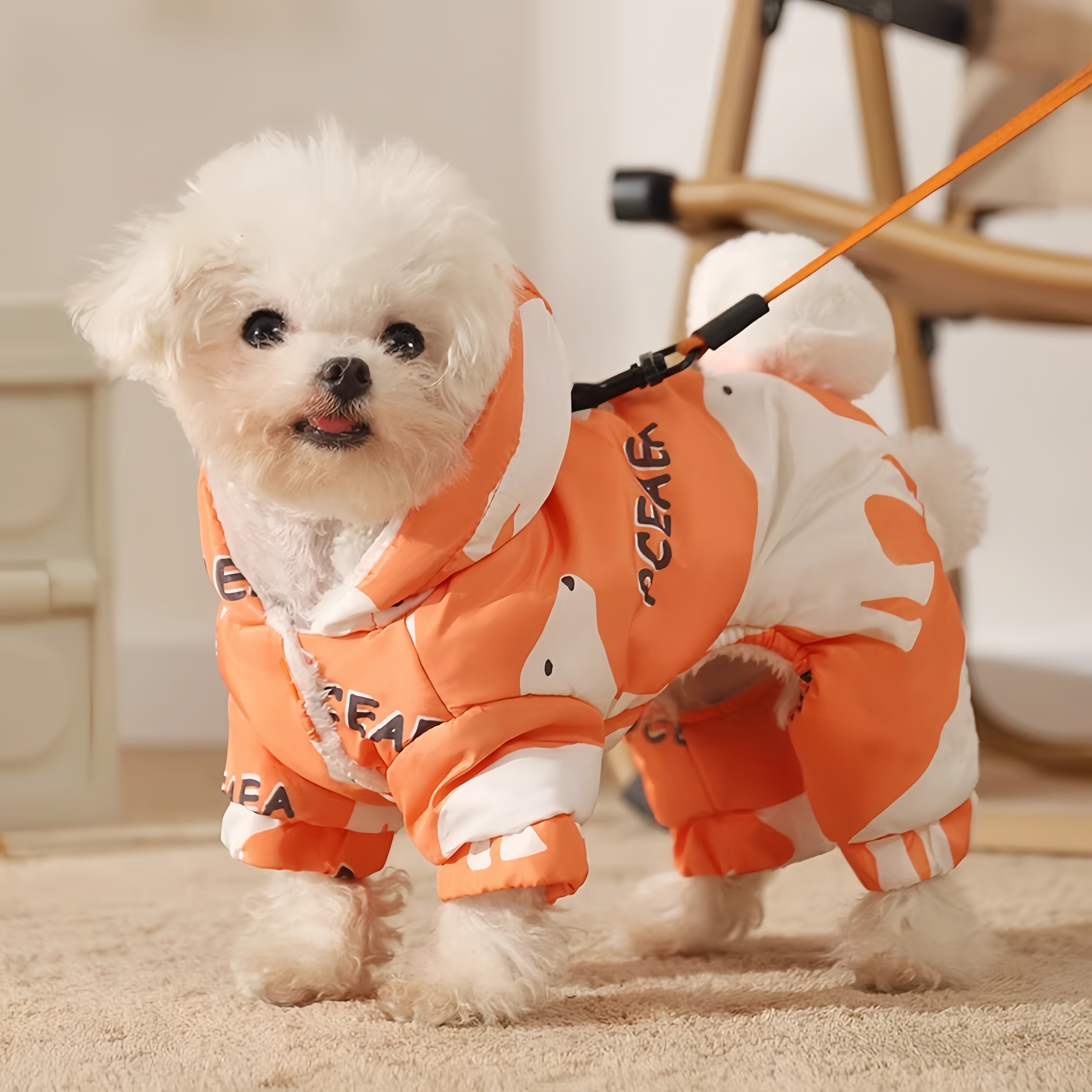 狗狗羽绒服四脚衣服小型犬秋冬季冬天保暖比熊泰迪棉服可牵引防水