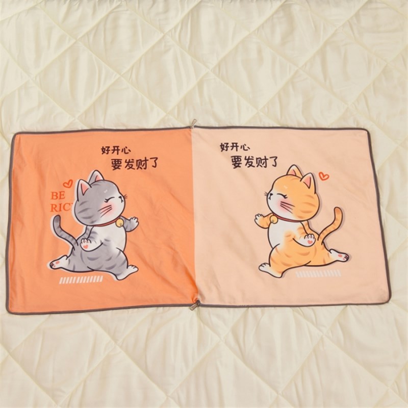 四季款式双面绒车载两用抱枕被A子毯子办公室沙发午休睡枕头二合