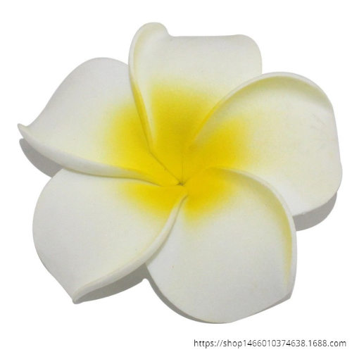 厂家4/5/6/7/8/9/11cmPE鸡蛋花  泳装新娘泡沫花 DIY发饰材料