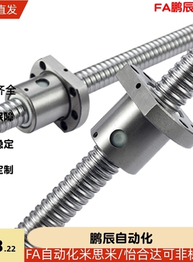精密滚珠丝杠 C-BSS1202-0802 BSSE1002-1004-1010 BSX1002