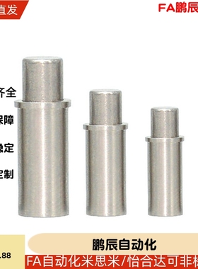 MPFS2-1.5-MPFS5-4平头销型小径弹柱塞ZAS21光身定位销 (ZC206-1)