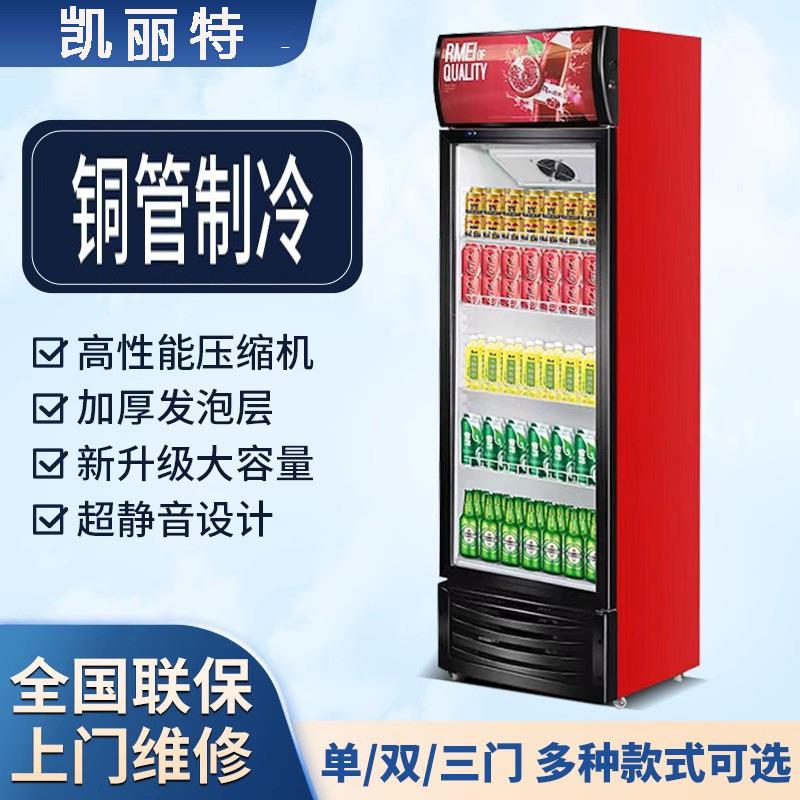 饮料展示柜啤酒柜商用冷藏冰柜双开门冷饮柜单门冷藏立式保鲜柜
