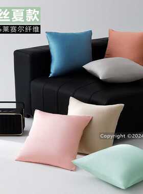 P66D天丝抱枕套绿色夏天冰凉感冰丝方靠背套不含芯客厅沙发40x40
