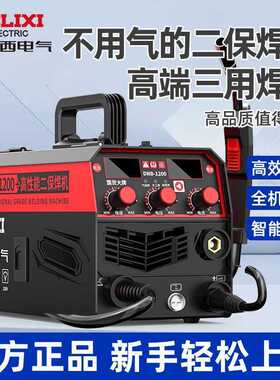 电气三用电焊二保焊工业级家用220v多功能无气便携二保焊机外贸