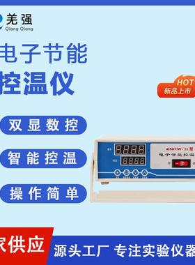 电子智能温控仪 实验室智能控温仪 ZNHW-II智能温控仪 电子温控器
