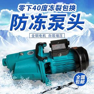 家用压力罐防冻裂自吸喷射泵家用大流量高扬程水井增压抽水机抗冻