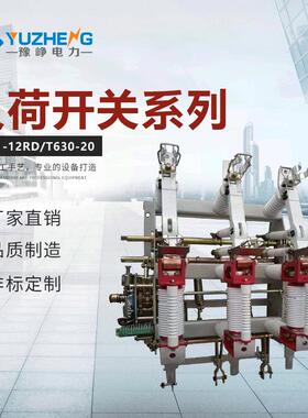 FN21-12FZN21-12DR/T125-31.5户内真空负荷开关高压负荷开关