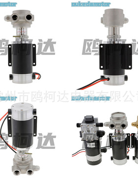 100L300L400L1000L直饮水机隔膜泵 微型水泵 售水机制水增压泵