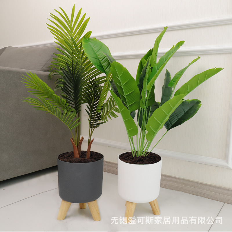 新款懒人自吸水花盆带实木腿办公室酒店客厅绿萝蝴蝶兰塑料网红