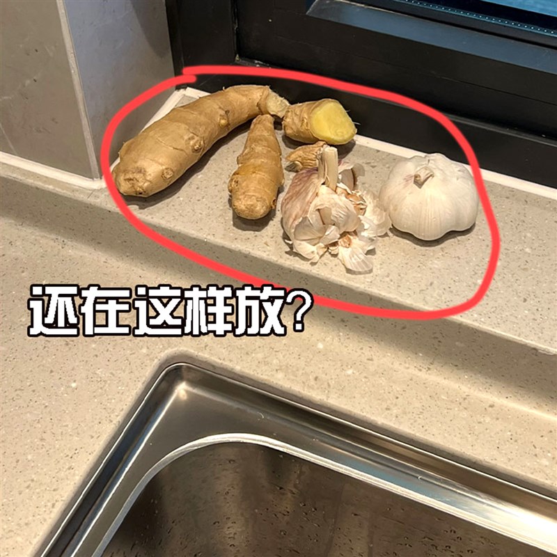 厨房葱姜蒜收纳筐吸盘置物架壁挂式调料架神器菜篮子Y果蔬置物架