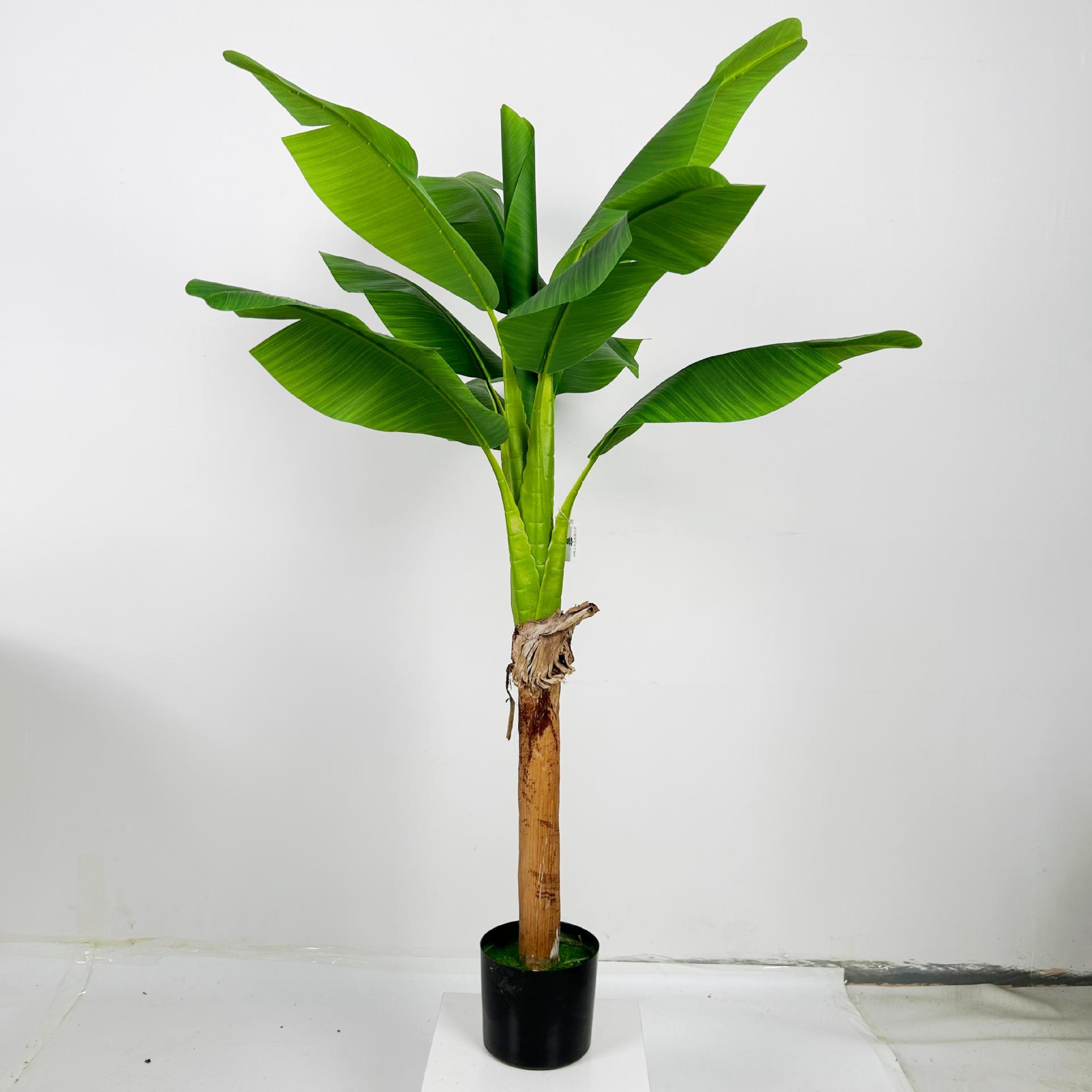 仿真绿树盆栽大植型旅人盆景室内家居蕉装饰摆件芭蕉假树绿1.5米