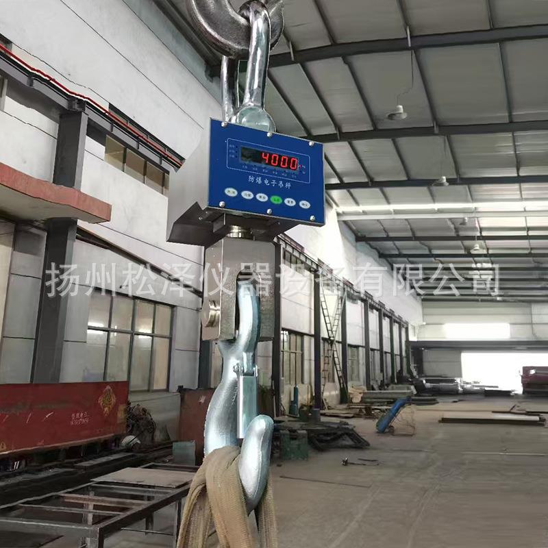 防爆电子吊钩秤制药化工油漆铸铁厂本安型直视吊磅行车电子吊磅