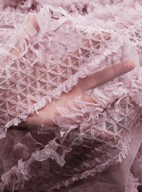 烟紫色网布立体绣花 流苏羽毛网纱布料 礼服连衣裙设计师面料