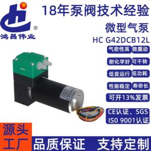 全新电动微型负压泵小型气体采样泵贴片机气泵电动微型负压泵