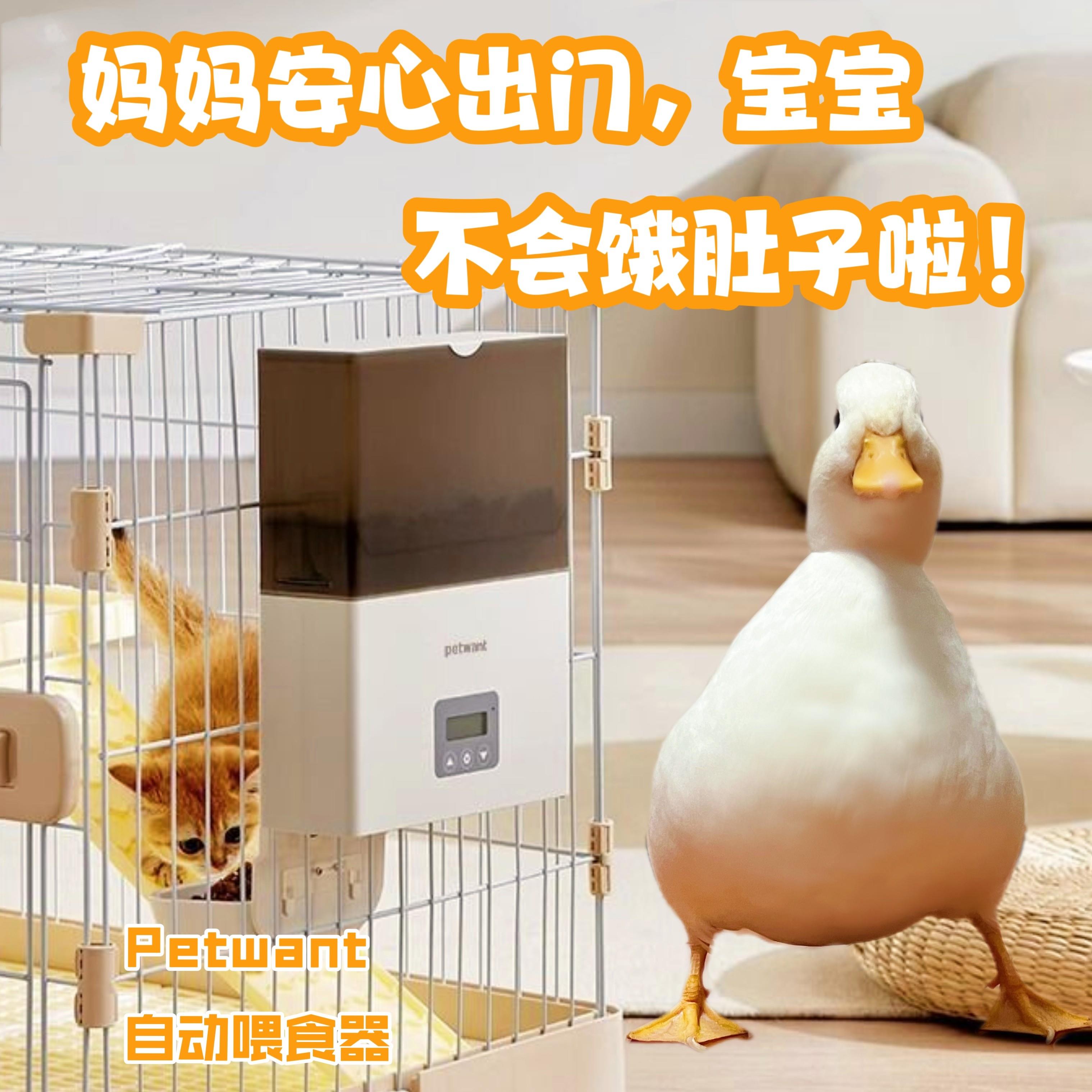 PETWANT柯尔宠物鸡鸭兔鼠小宠外挂定时喂食器笼子悬挂式短途出行