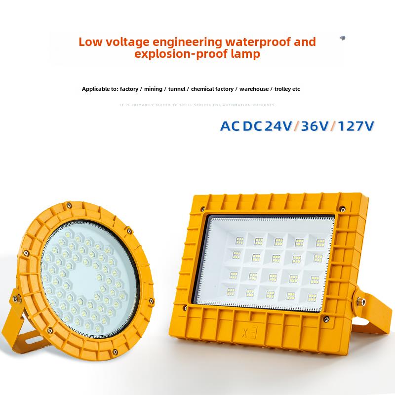 防爆灯36Vled灯低压泛光灯12V24V127V矿灯户外防水泛光灯射灯