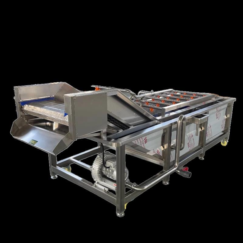 大枣水果蔬菜气泡清洗机洗菜机酸菜脱盐设备辣椒中药材清洗流水线