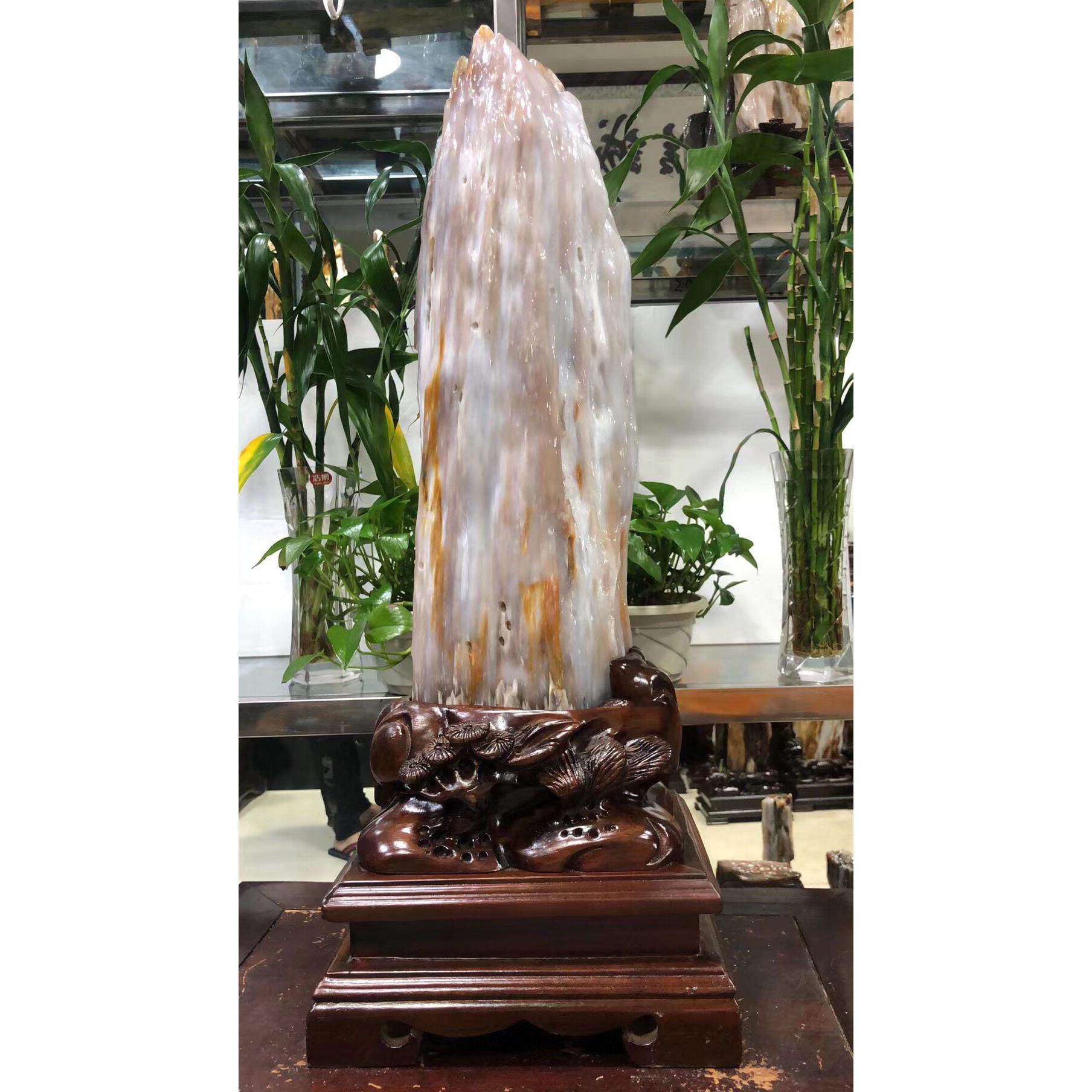 缅甸树化石冰种木化玉原石天然硅化木博古架奇石客厅树化玉摆件