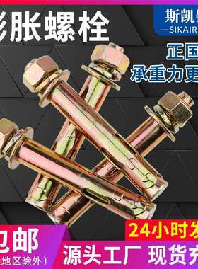 正国标膨胀螺丝10mm镀锌螺栓拉爆8mm带孔胀栓国标加厚