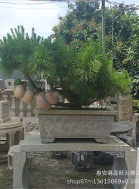 石雕花盆 g603花钵花岗岩石头花盆 庭院别墅大理石 花盆装饰现货