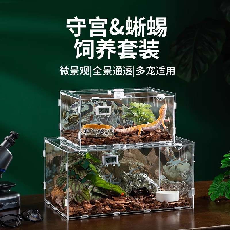 豹纹守宫蜥蜴饲养盒套装爬宠造景箱蜘蛛昆虫生态盒亚克力大号套餐
