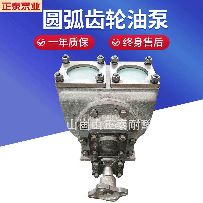 圆弧齿轮油泵大功率自吸洒水泵化工泵卧式洒水车泵园林绿化泵