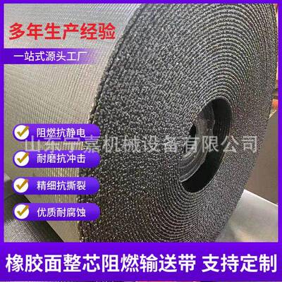 PVG整芯阻燃输送带橡胶面整芯阻燃输送带PVC矿用阻燃皮带