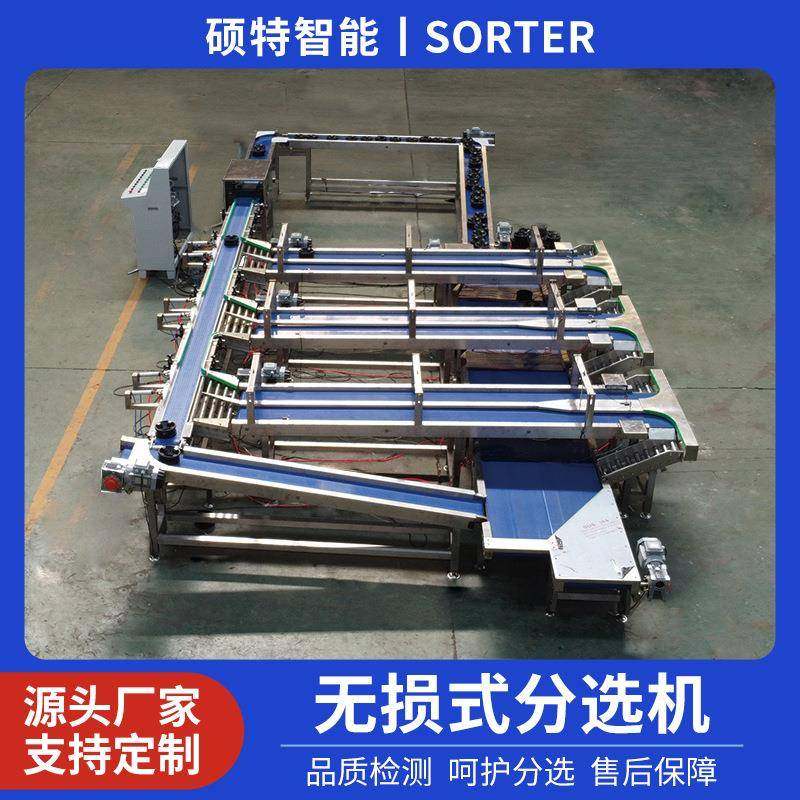 水果重量无损分选机 西瓜香瓜自动称重分选机器 桃子苹果分拣机