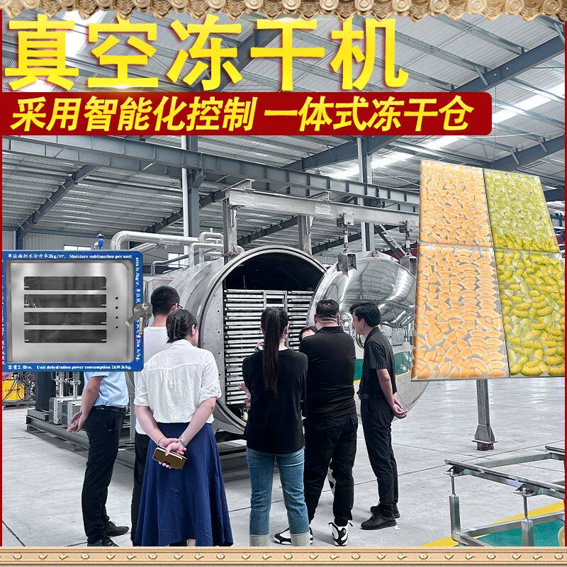 方便面蔬菜包真空冻干机 鳝鱼段宠物食品真空冷冻干燥机 冻干设备