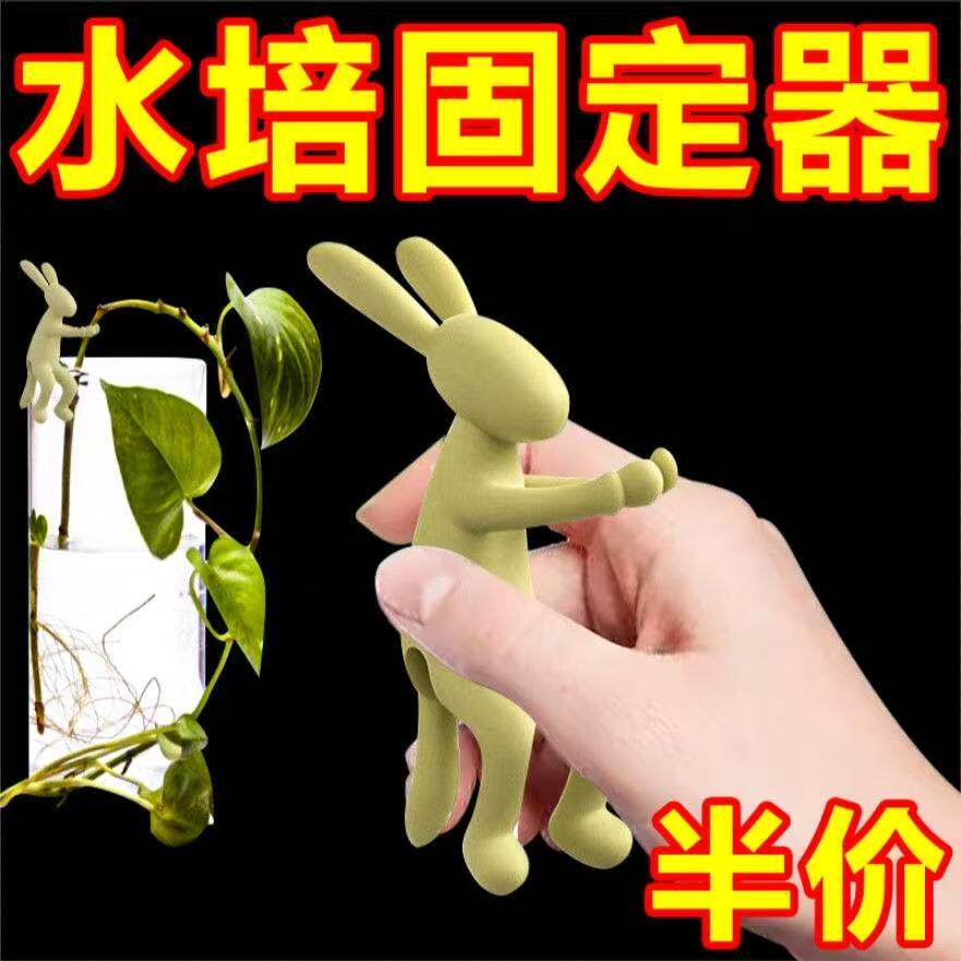水培兔子固定器植物生长伴侣支架