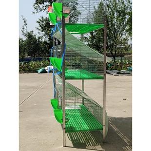 养殖笼9位12位种兔笼免清粪兔子笼子母笼加粗加密热镀锌子母兔笼