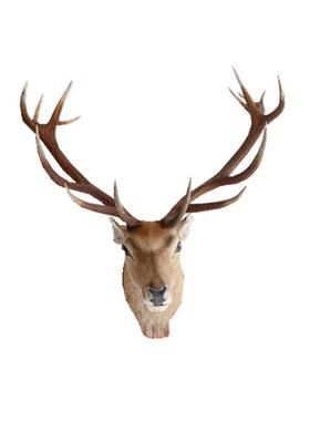 厂家直销壁挂鹿头招财墙壁装饰商务送礼玄关客厅背景墙壁炉装饰