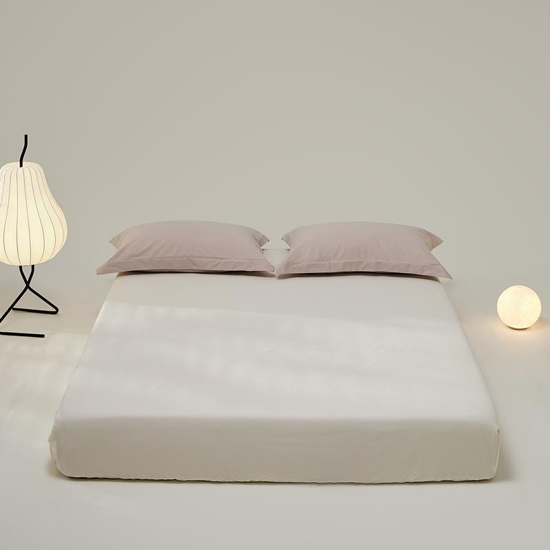 100支全棉磨毛床单 秋冬单件床笠被单枕套 纯色贡缎磨绒纯棉床品