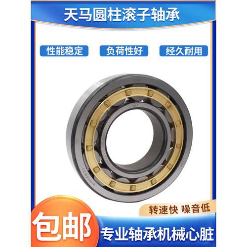 圆柱滚子轴承N NU NJ216 217 218 219 220 221 222 224 226 228EM