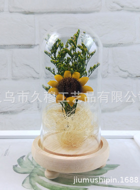 厂货干花装饰微景观 黄色太阳花diy玻璃罩手工制作永生花台灯