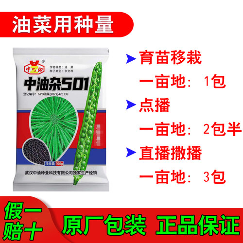 中油杂501油菜种子高产耐盐碱