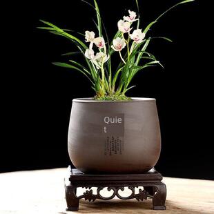 兰花花盆蝴蝶兰专用家用覆古陶瓷紫砂盆轻奢高级感高端君子兰厂家